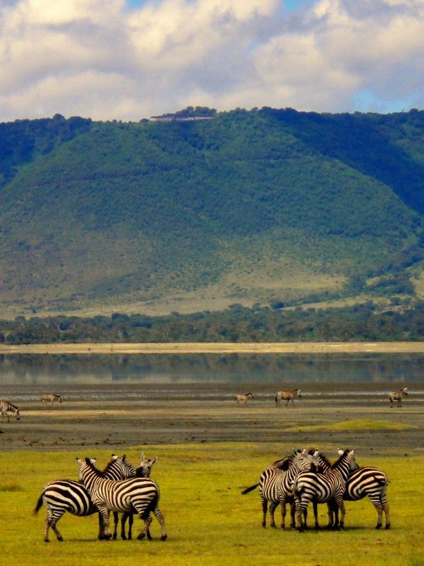 7 Days Masai Mara, Serengeti, and Ngorongoro Crater Safari