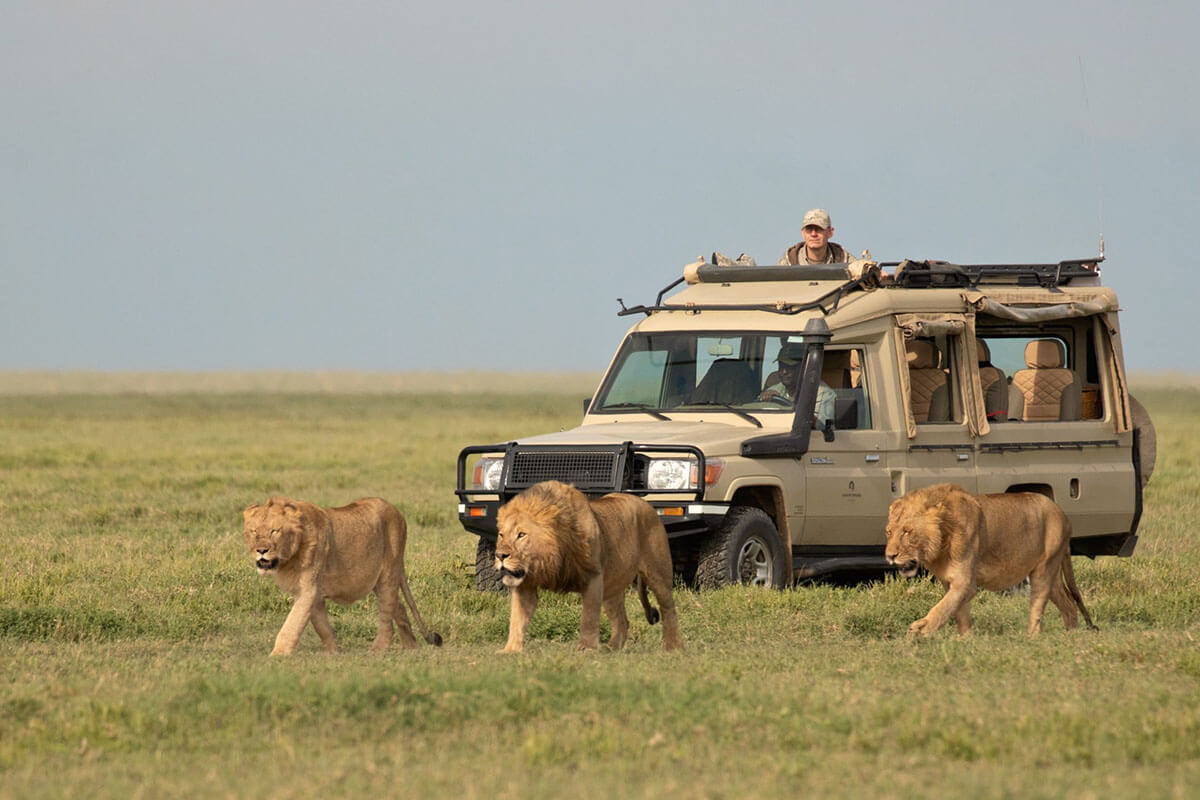 Game drive
