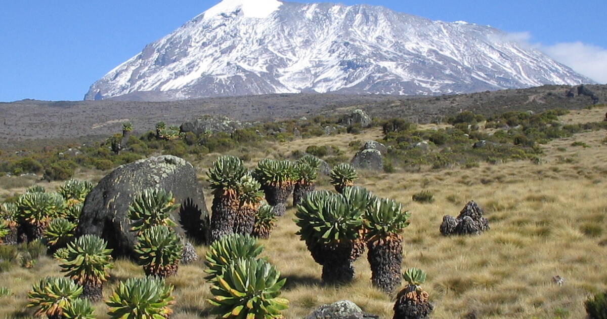 Mt Kilimanjaro