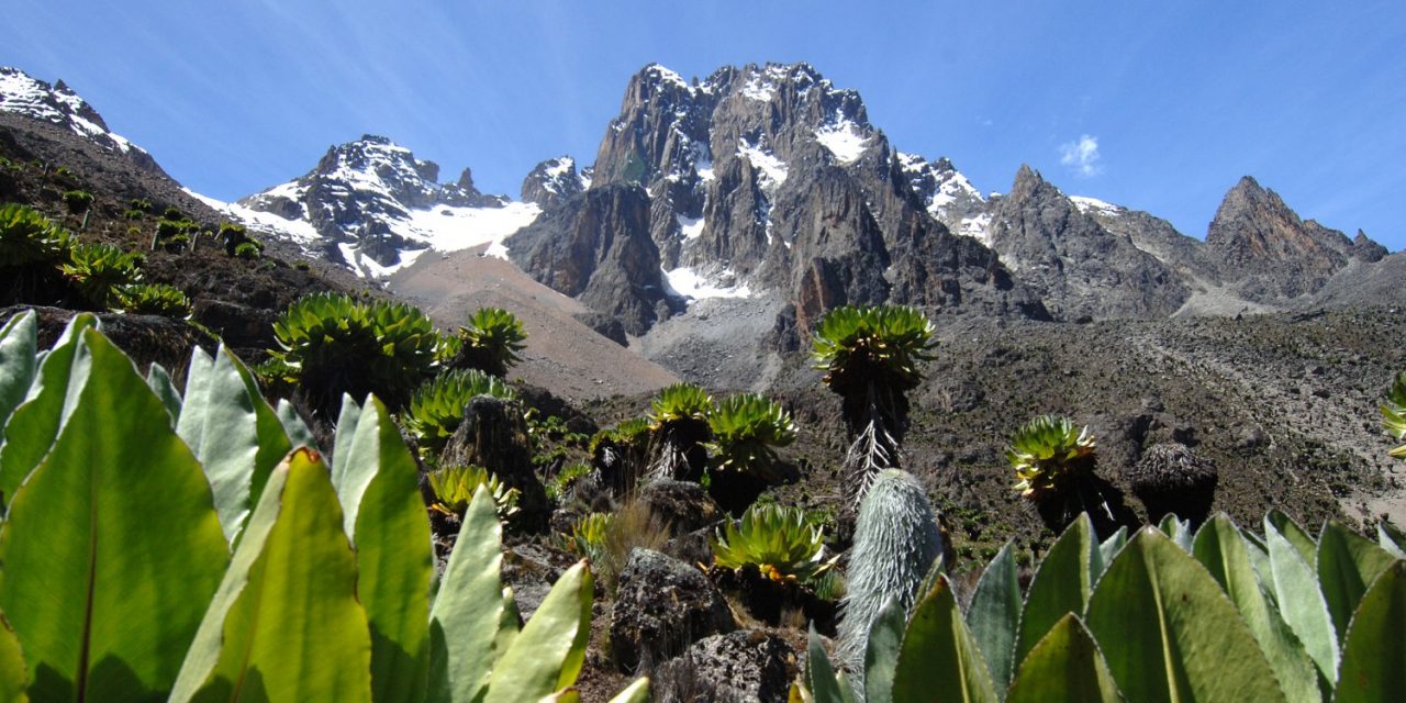 Mt Kenya hike