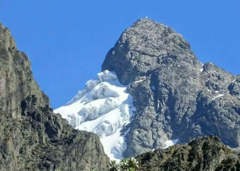 mt rwenzorii