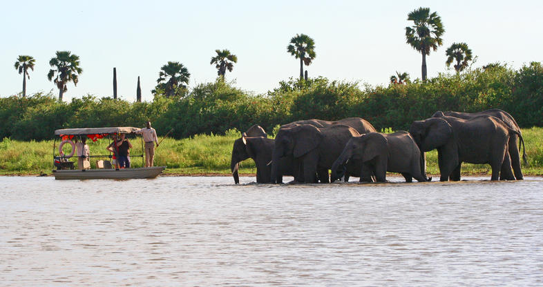 Selous Game reserve