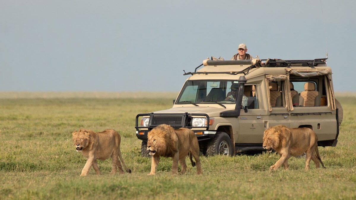 What is the best time to go on a safari to Tanzania?