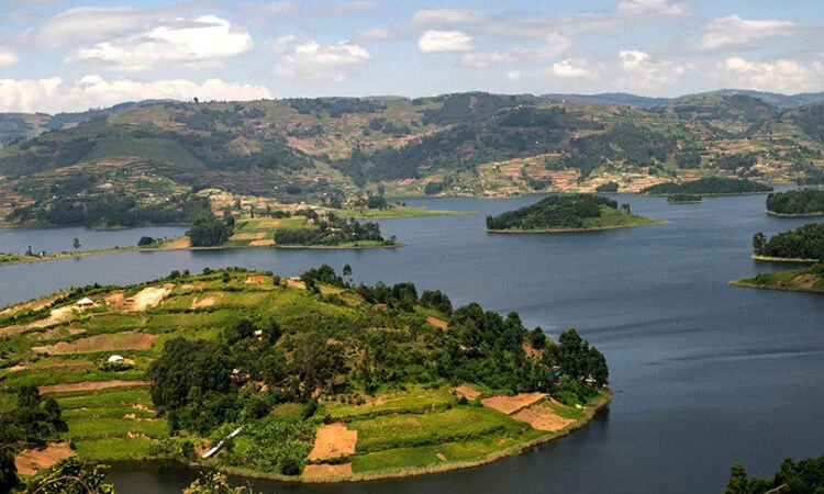 8 Days Uganda primates and wildlife safari