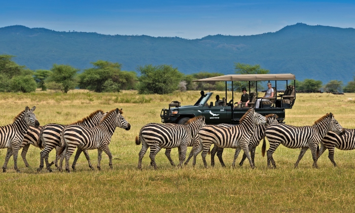 14 Days Rwanda and Tanzania Safari