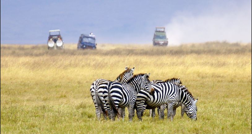 5 Day Best of Tanzania Safari