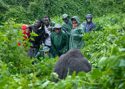 10 days Uganda Wildlife and Primate Safari