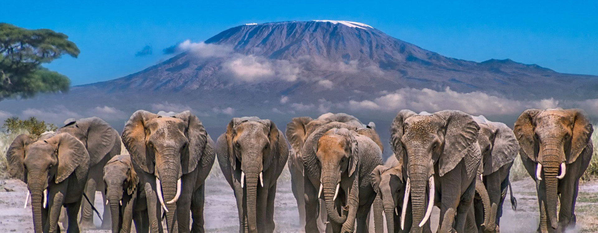 Kilimanjaro National Park
