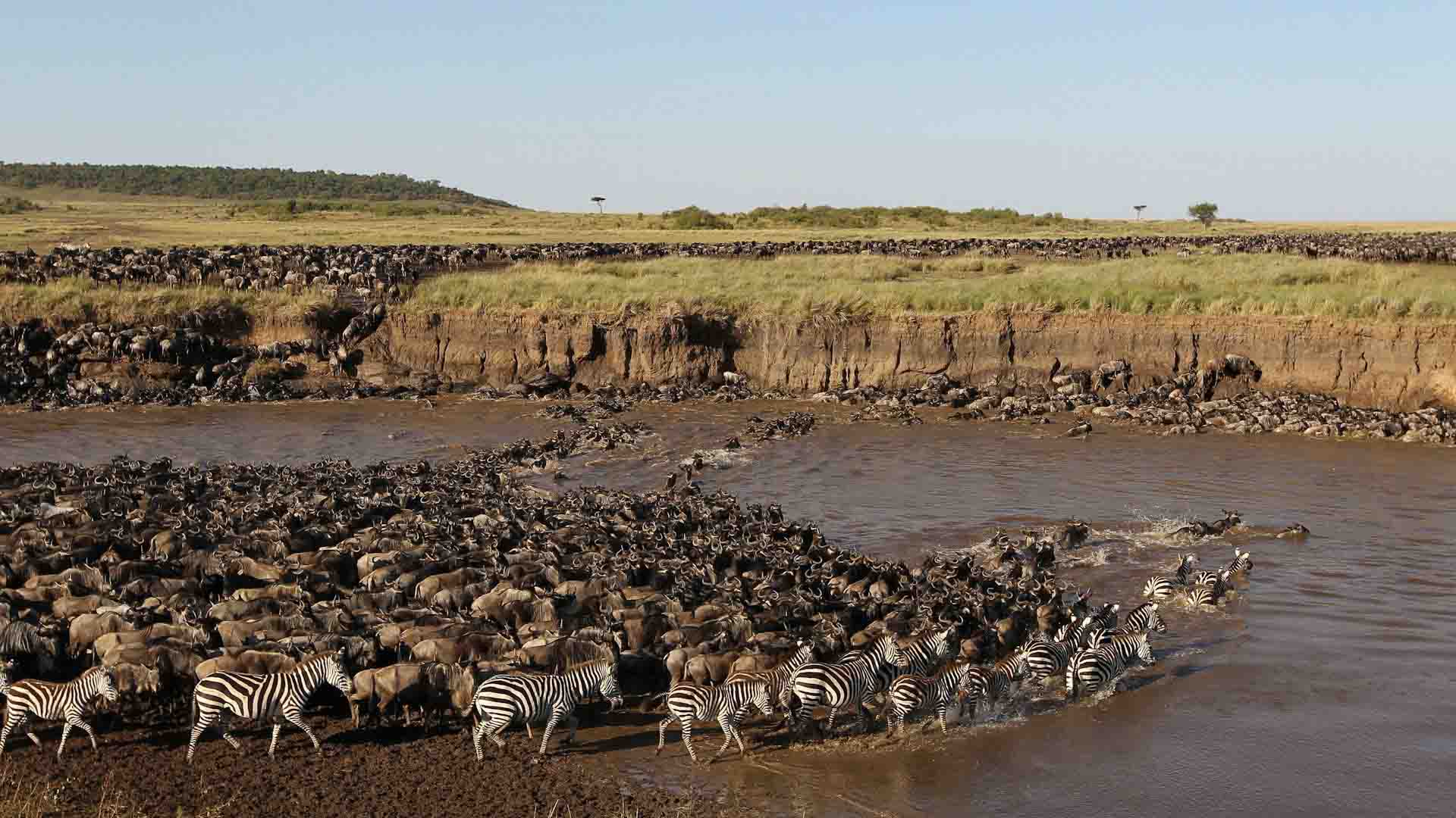 How To Avoid The Crowds On A Serengeti Safari?