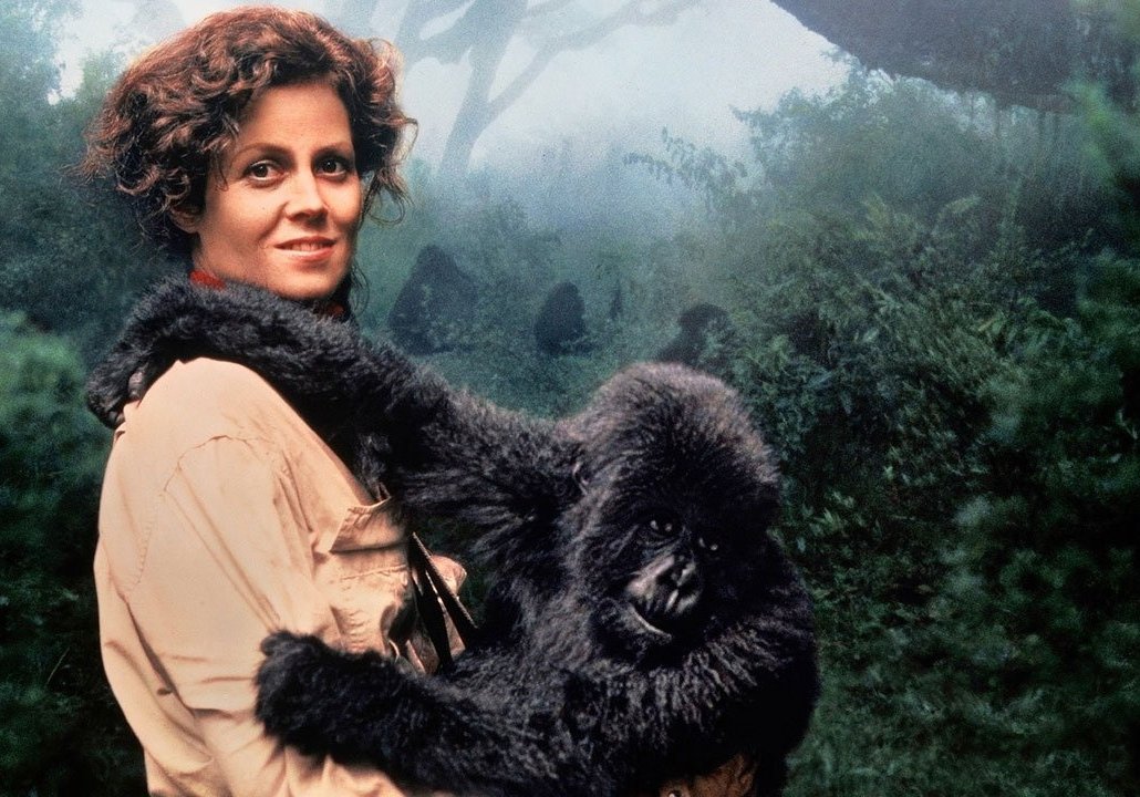 Things to do in Volcanoes National Park