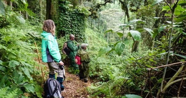 Top Things To Do Queen Elizabeth National Park