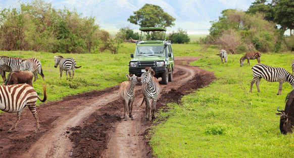 Best safari destinations near Mount Kilimanjaro