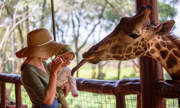 Popular safari destinations in Nairobi