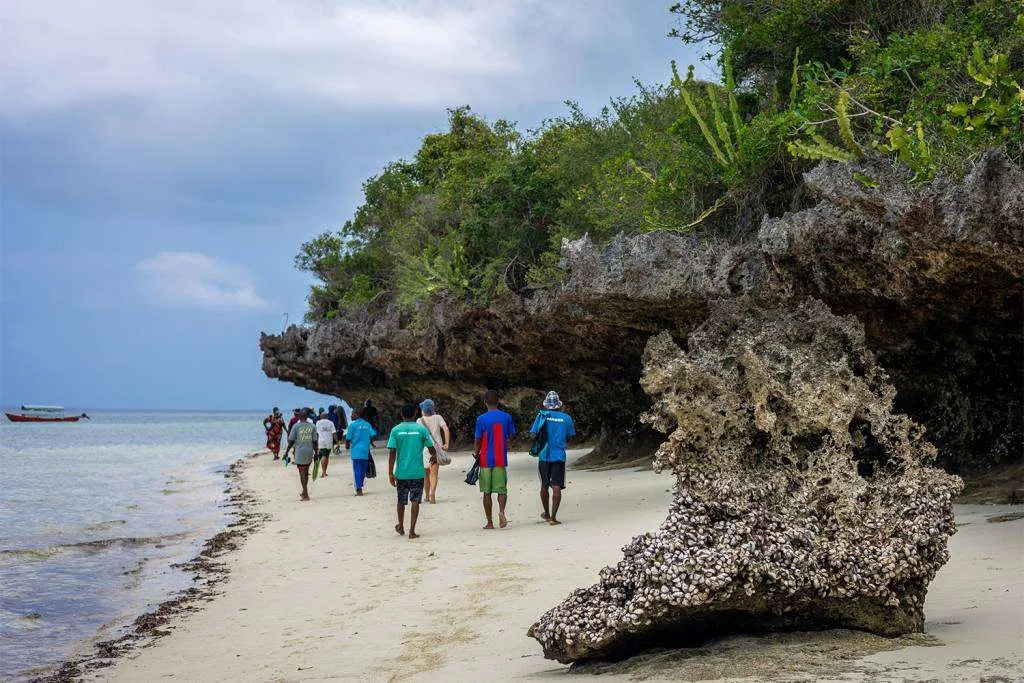 Top 7 Best Things To Do On Chumbe Island In 2025/2026