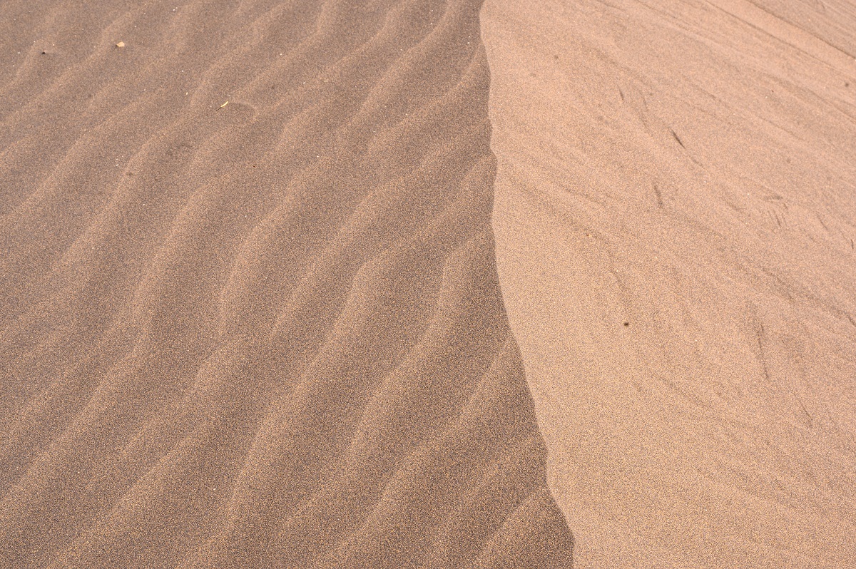 What to see in the Ngorongoro Conservation Area beyond the Crater?