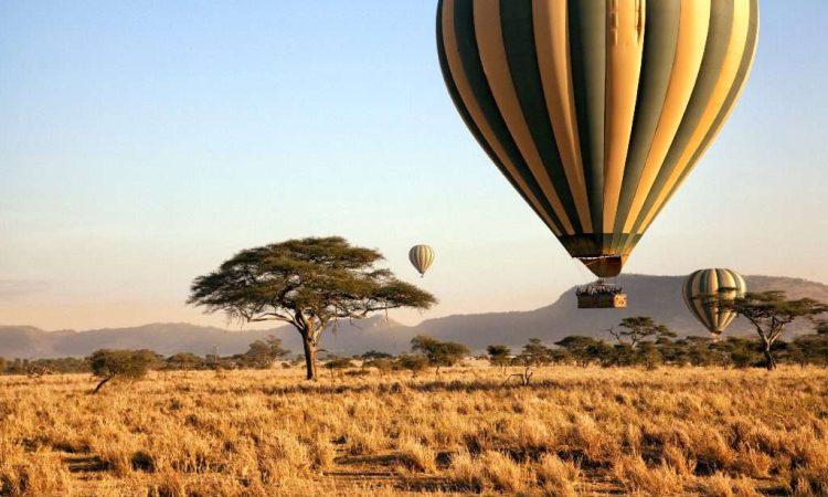2 Days Maasai Mara National Reserve Safari
