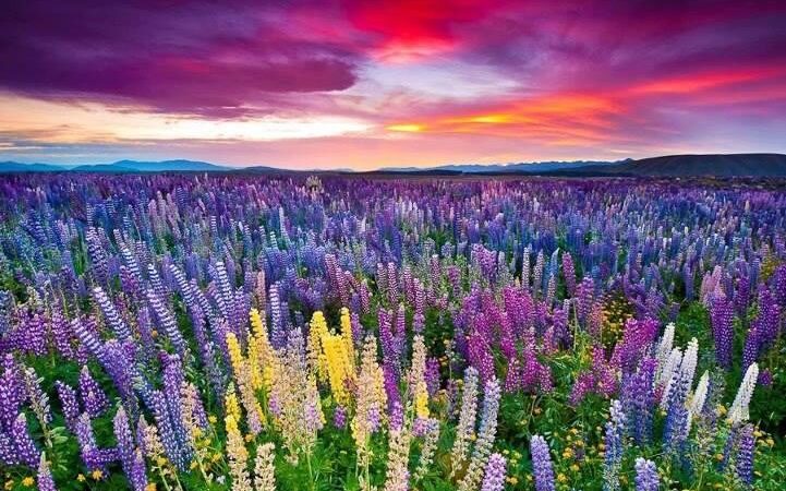 Explore Mbeya Region Tanzania