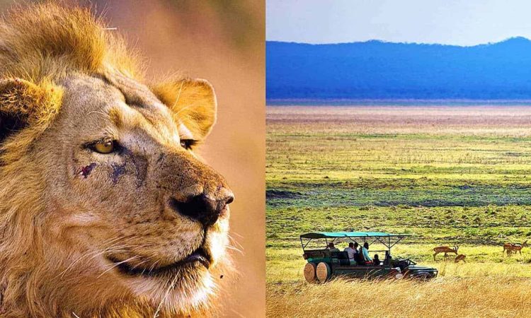 Guide to Visiting Katavi National Park 2026