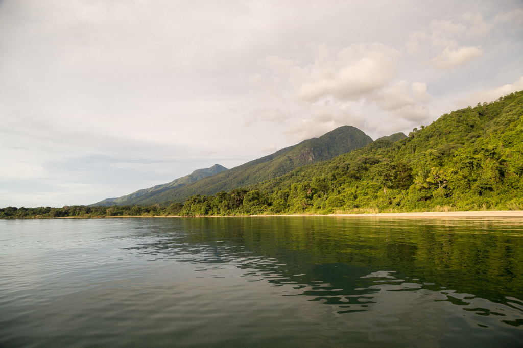 Safari Guide to Mahale Mountains National Park 2026