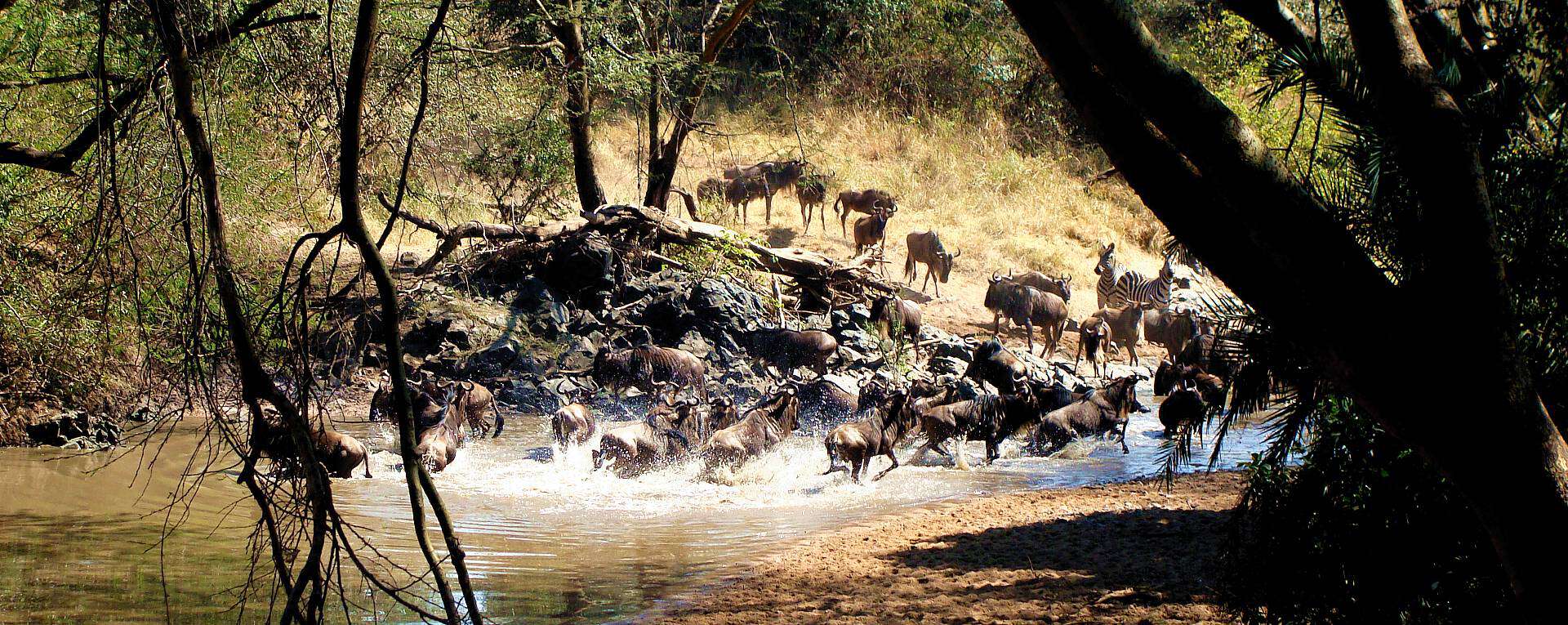 Serengeti National Park Rivers