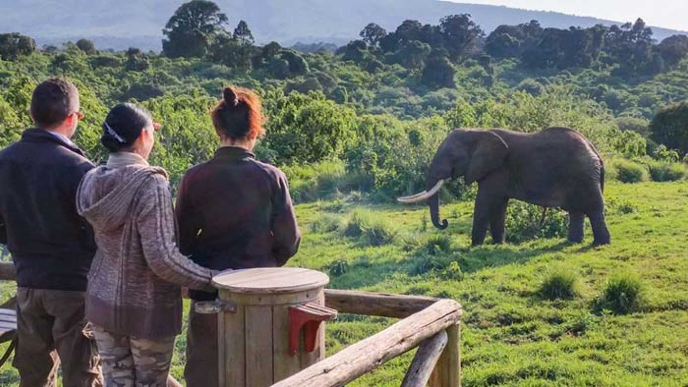 5 Days Tanzania Safari