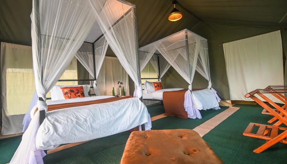 5 Days Ngorongoro , Ndutu & Serengeti Safari