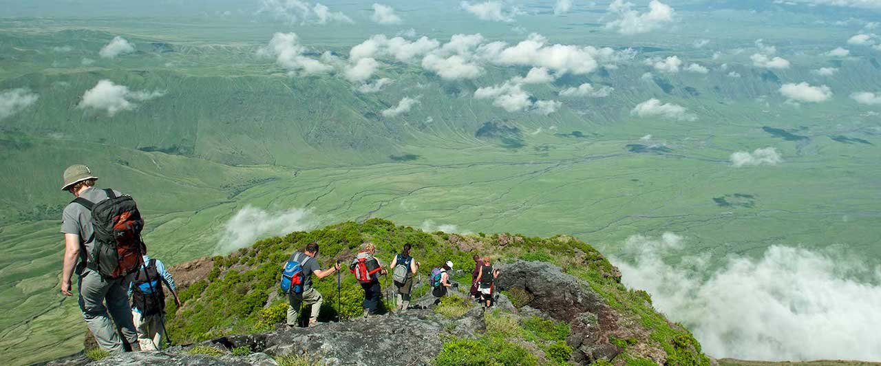 5 Days Northern Tanzania Safari