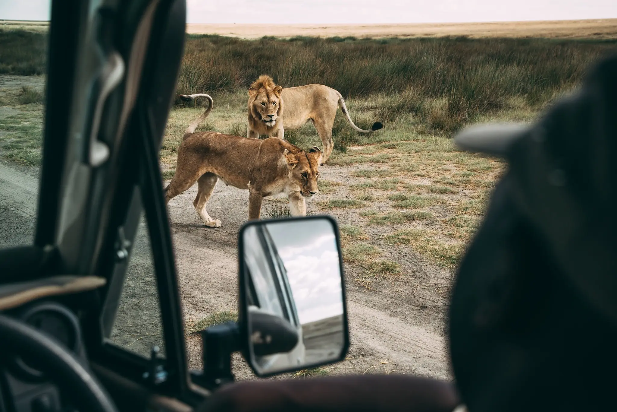 How to Get to Tarangire National Park from Arusha?
