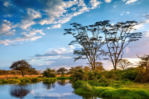 Rivers in Serengeti National Park