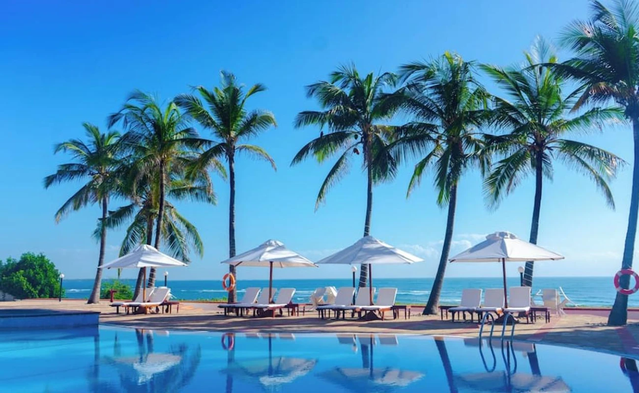 Where To Go For A Honeymoon Safari In Tanzania?