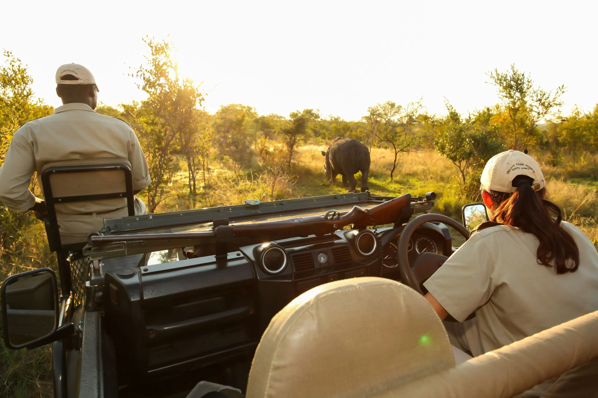What Is A Typical Kenya Safari Experience Like?