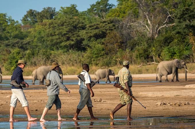 Tanzania Walking Safaris