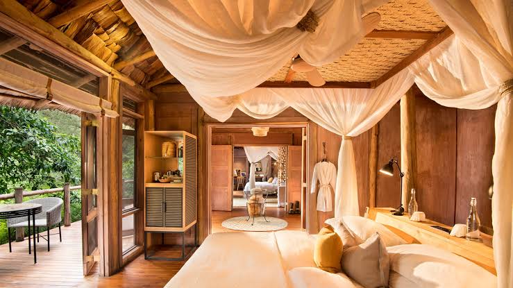 Best Lodges in Lake Manyara National Park